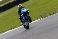 PJ-Motorsport-2019;anglesey-no-limits-trackday;anglesey-photographs;anglesey-trackday-photographs;enduro-digital-images;event-digital-images;eventdigitalimages;no-limits-trackdays;peter-wileman-photography;racing-digital-images;trac-mon;trackday-digital-images;trackday-photos;ty-croes